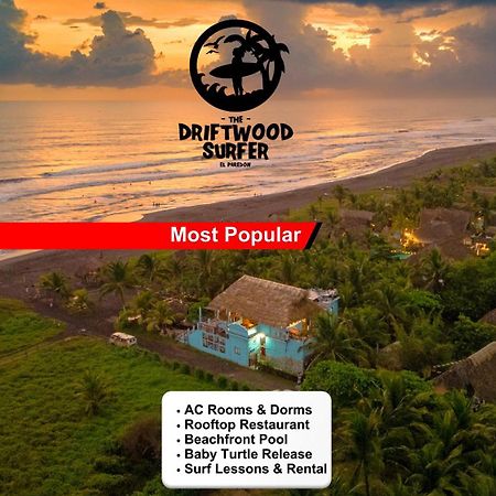 The Driftwood Surfer Beachfront Hostel / Restaurant / Bar, El Paredon El Paredón Buena Vista Exteriör bild